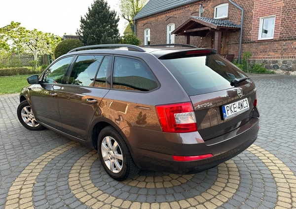 Skoda Octavia cena 33900 przebieg: 180000, rok produkcji 2013 z Nowy Wiśnicz małe 497